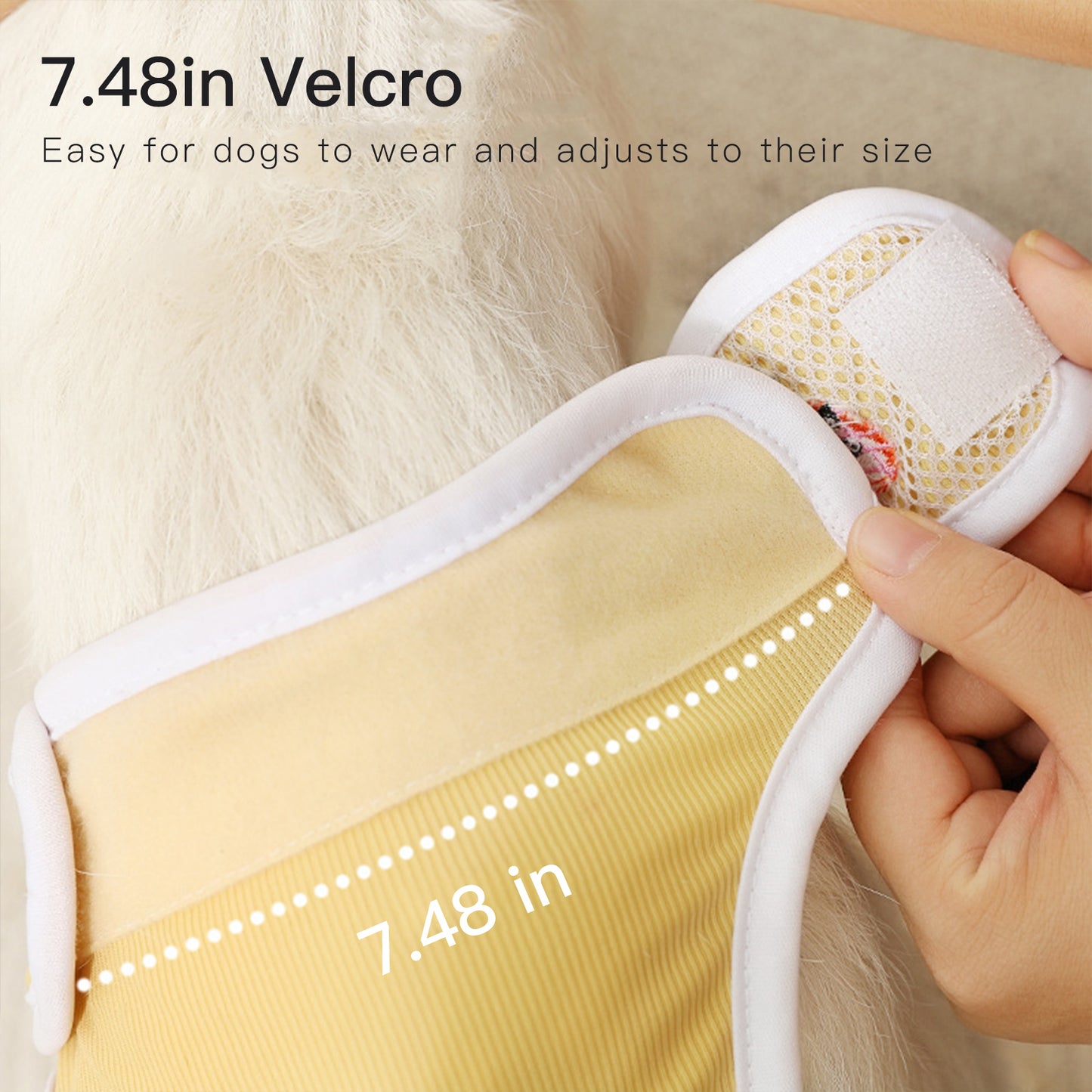 Guardian of Pets' Menstrual Period: Dog Physiological Pants, Thoughtful Protection