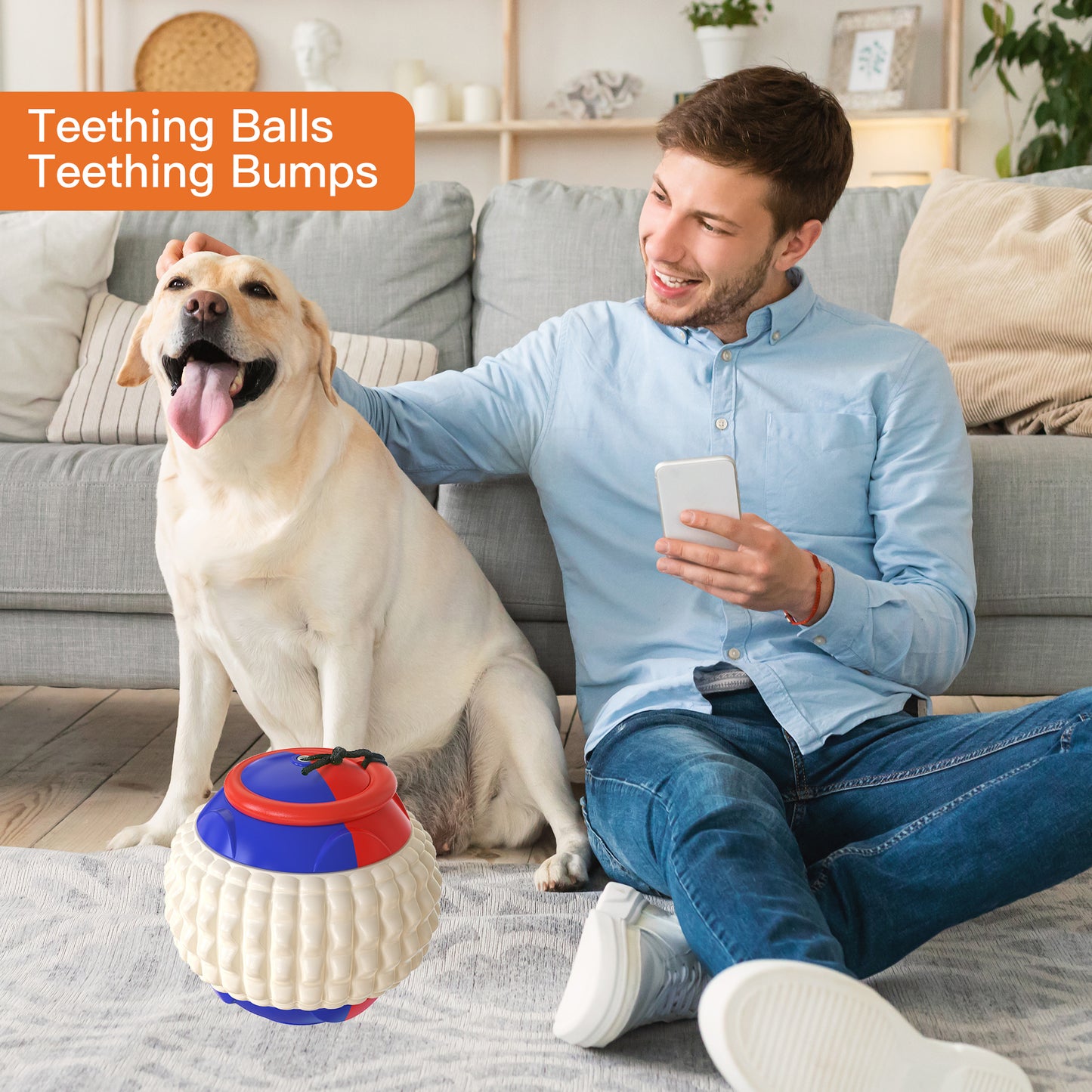 The Outdoor Fun Collection for Pet Dogs: Toothbrush, Teething Toy and Throwing Ball