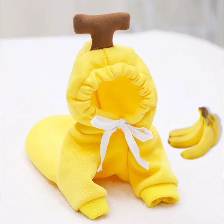 Cute Fruit & Animal Dog Clothes for Small Dogs