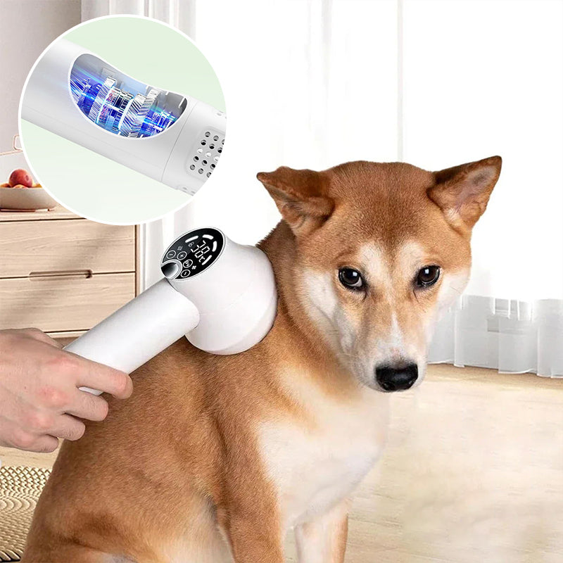 2-in-1 Low Noise Pet Hair Dryer with Comb Brush Slicker Brush Pet Products Pet Hair Dryer with Slicker Brush Pet Cleaning Suppli