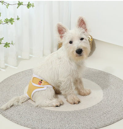 Ultimate Pet Menstrual Care: Dog Physiological Pants