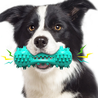 Essential Pet Toy Combination: Chew Stick, Sound-making Toothbrush plus Toy Ball