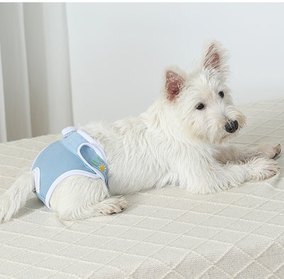 Guardian of Pets' Menstrual Period: Dog Physiological Pants, Thoughtful Protection