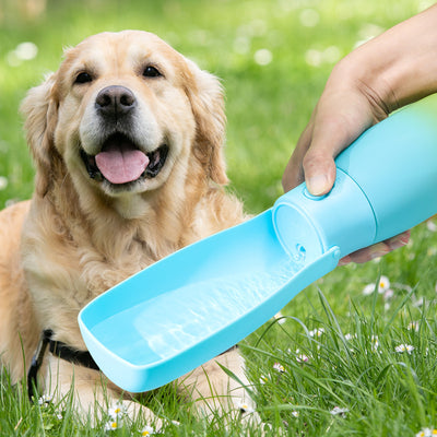 Title: Exploring Innovation - Outdoor Portable Pet Foldable Filtering High-Temperature Resistant Pet Water Cup