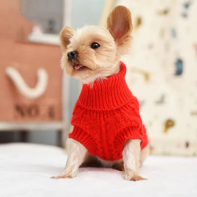 Keep Your Pup Cozy and Stylish This Winter: Knitted Pet Clothes for Small to Medium Dogs