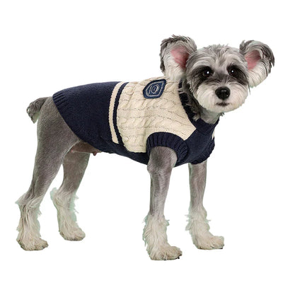 Elevate Your Pet’s Winter Wardrobe with College - Style Charm! 🐕🐈🧣