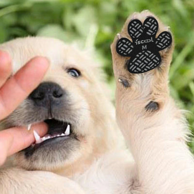 Tender Care for Your Dog: Non-Slip Dog Traction Pads