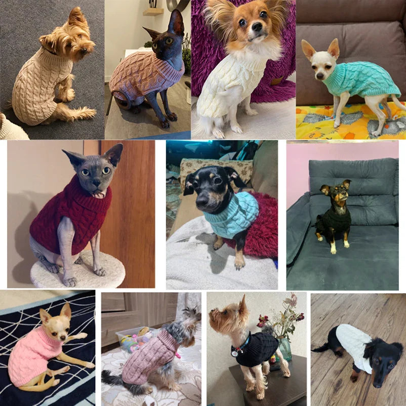 Pamper Your Furry Friends with Cozy Sweaters! 🐕🐈