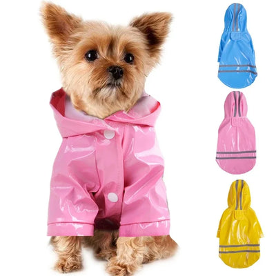 Keep Your Furry Friends Dry and Stylish This Summer! 🌦️🐕