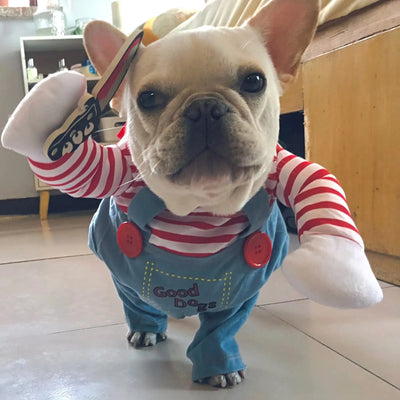 Make This Halloween Unforgettable with Our Hilarious Pet Costumes! 🎃🐾