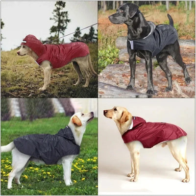 Say Goodbye to Soggy Walks with Our Ultimate Dog Raincoat! 🌧️🐕