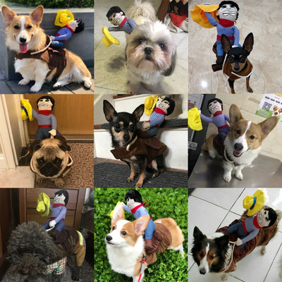 Transform Your Pet into the Star of the Show! 🎉🐾