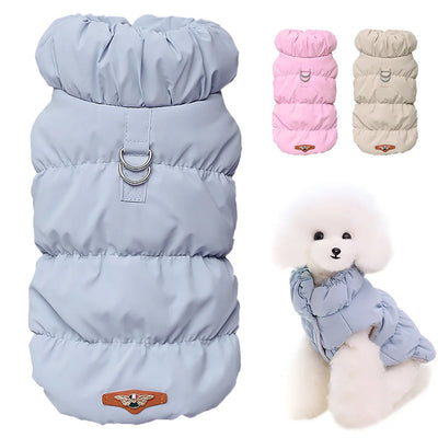 Keep Your Furry Friends Cozy This Winter! 🐾❄️