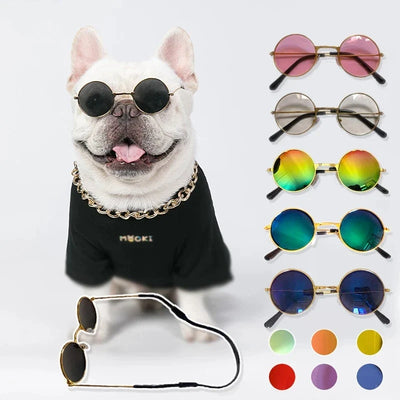 Transform Your Pets into Style Icons with Our Vintage Sunglasses! 🐾🕶️