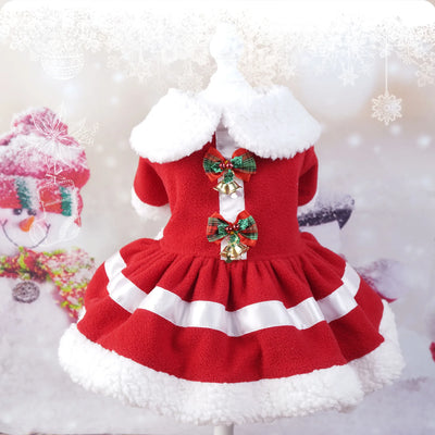 Make Your Furry Friends the Stars of the Festive Season! 🐕🐈🎄
