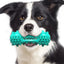 Essential Pet Toy Combination: Chew Stick, Sound-making Toothbrush plus Toy Ball