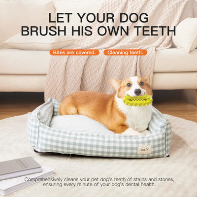 Goodies for Dogs' Oral Care and Play: Chew Sticks, Dog Toothbrushes and Cactus Ball Dog Toys