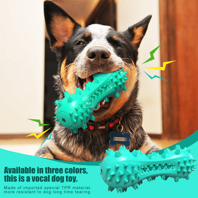 Essential Pet Toy Combination: Chew Stick, Sound-making Toothbrush plus Toy Ball