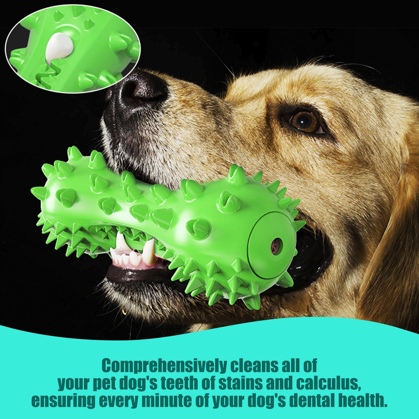 Essential Pet Toy Combination: Chew Stick, Sound-making Toothbrush plus Toy Ball