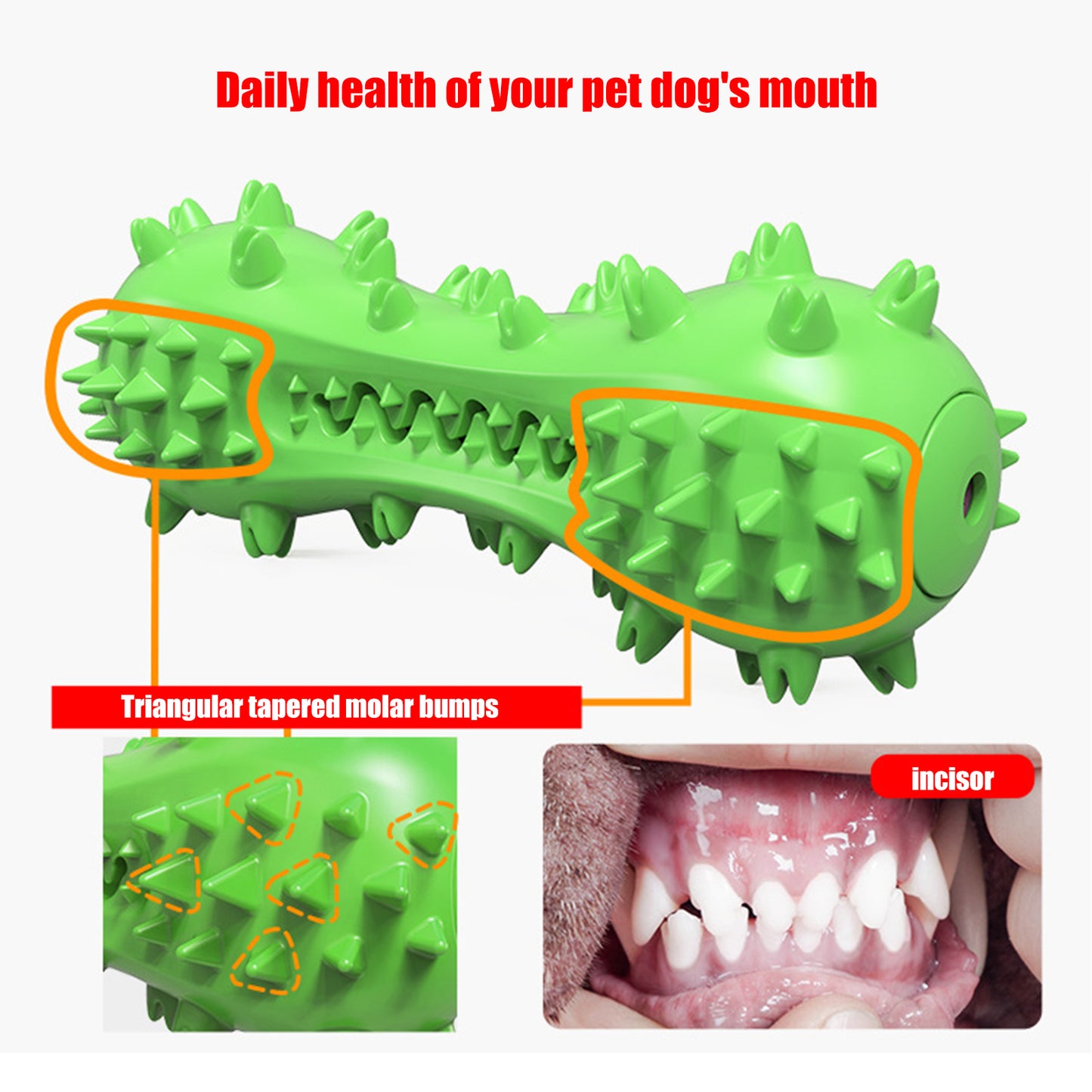 Essential Pet Toy Combination: Chew Stick, Sound-making Toothbrush plus Toy Ball