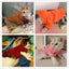 Warm Pet Clothes For Cats Clothing Autumn Winter Clothing for Cats Coat Puppy Outfit Cats Clothes for Cat Hoodies