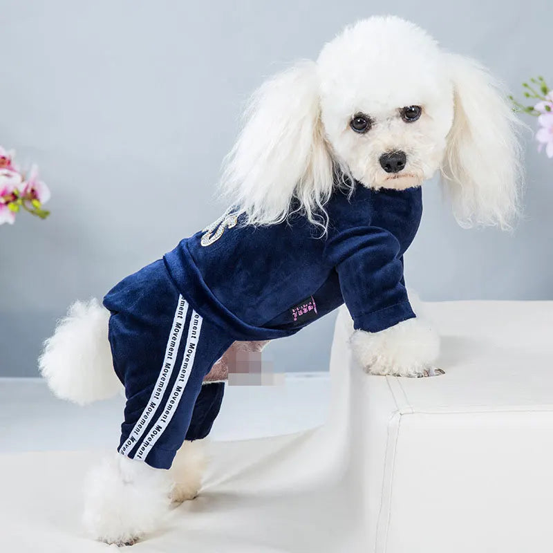 Pet Dog Jumpsuit Spring Autumn Warm Clothing For Small Dog Clothes Velvet Pajamas Kitten Puppy Pullover Chihuahua Costume Coat