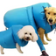 Pet Dogs Drying Bags Dryer Hair Blow Fast Portable Foldable Grooming Bag Household Pet Hair Bag Efficient Dry Tool Kit