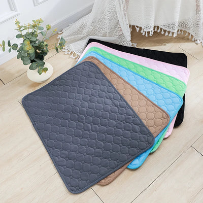 Pet Essentials: Reusable Dog Pee Pad Blanket - Absorbent, Washable Diaper for Puppy Training and Pet Bed, Urine Mat for Pet Car Seat Cover