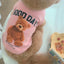 Cartoon Bear Pet Shirt