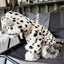 Winter New Pet Clothing white Leopard Dog Coat Warm Long Velvet Cap with Small Spots Small Dog and Cat Same Pet Fur Coat