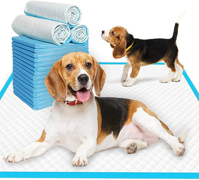 Super Absorbent Pet Diapers - Disposable Training Pee Pads with Quick-Dry Surface Mat for Dogs & Cats